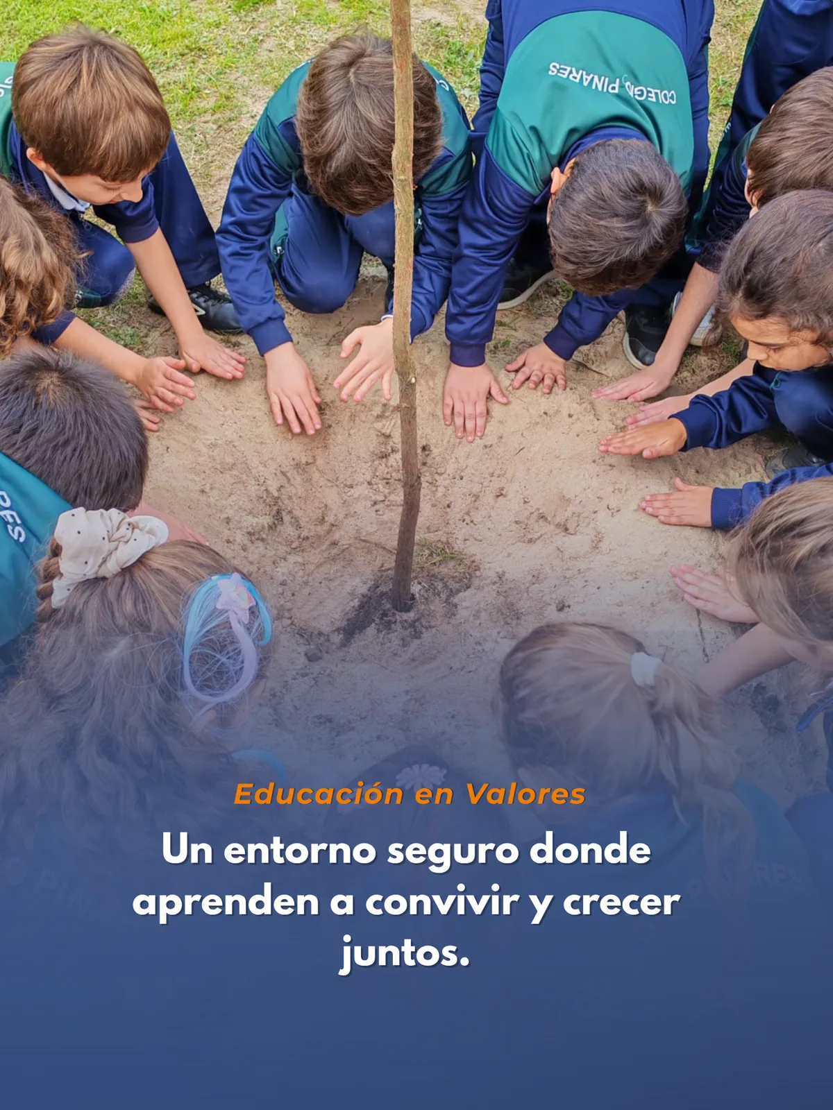 Ajedrez, informática, robótica y ciencias